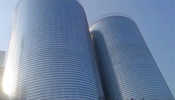 桓仁2座混凝土高架卷板仓